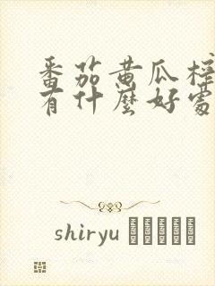 番茄黄瓜榨汁喝有什么好处