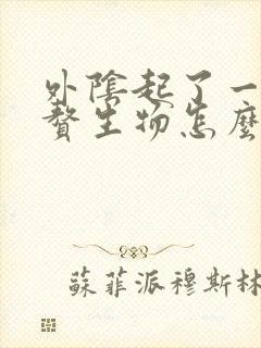 外阴起了一个小赘生物怎么办