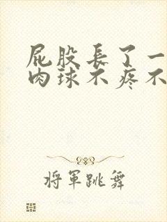 屁股长了一个小肉球不疼不痒