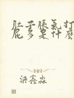 肚子胀气打嗝放屁多是什么原因