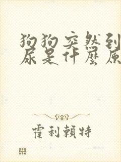 狗狗突然到处乱尿是什么原因