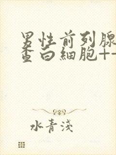 男性前列腺液检查白细胞++是什么意思