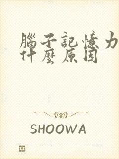 脑子记忆力减退什么原因