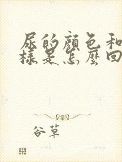 尿的颜色和水一样是怎么回事