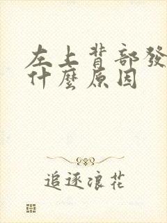 左上背部发麻是什么原因