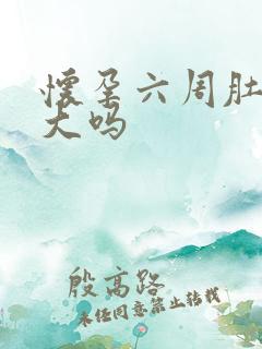 怀孕六周肚子会大吗