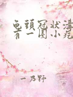 龟头冠状沟边缘有一圈小疙瘩