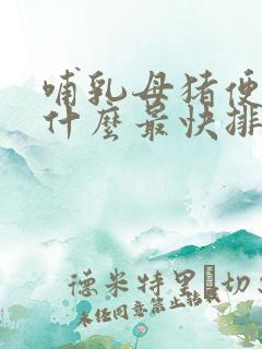 哺乳母猪便秘吃什么最快排便