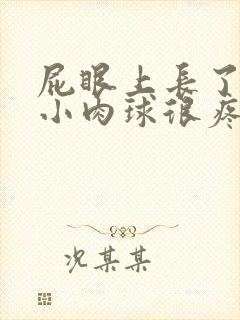 屁眼上长了一个小肉球很疼