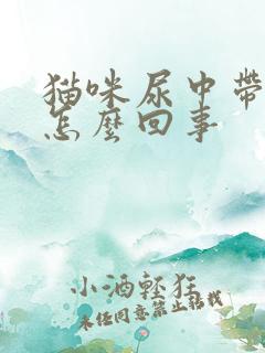 猫咪尿中带血丝怎么回事