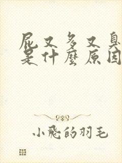 屁又多又臭又响是什么原因造成的