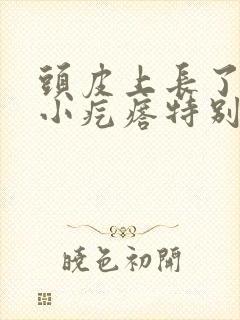 头皮上长了好多小疙瘩特别痒