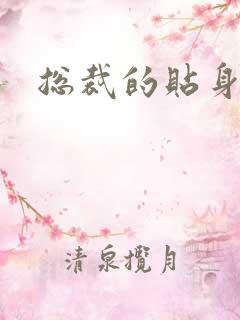 总裁的贴身女佣