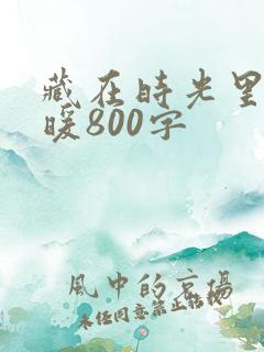 藏在时光里的温暖800字