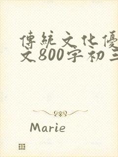 传统文化优秀作文800字初三
