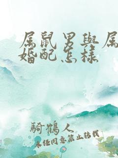 属鼠男与属兔女婚配怎样