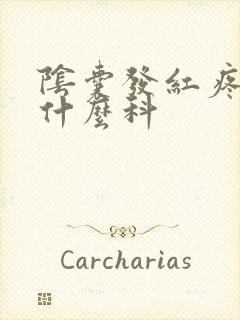 阴囊发红疼痛挂什么科