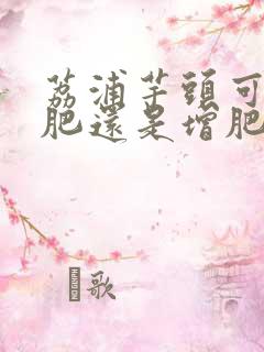 荔浦芋头可以减肥还是增肥呢