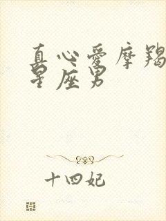 真心爱摩羯女的星座男