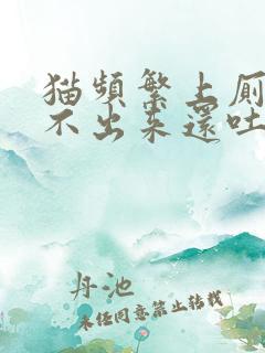 猫频繁上厕所尿不出来还吐