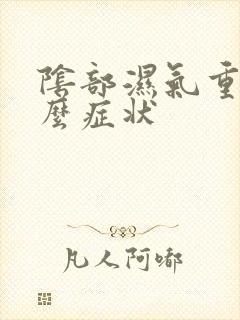 阴部湿气重是什么症状