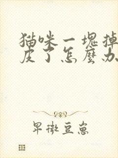 猫咪一块掉毛露皮了怎么办