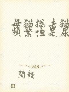 母猫总去猫砂盆频繁但是尿的很少