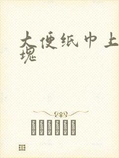 大便纸巾上有血块