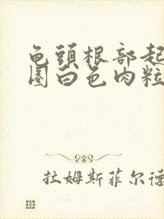 龟头根部起来一圈白色肉粒