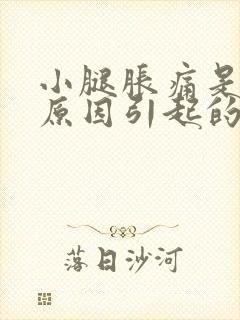 小腿胀痛是什么原因引起的怎么治