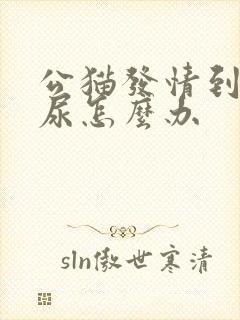 公猫发情到处乱尿怎么办