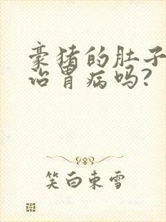 豪猪的肚子可以治胃病吗?