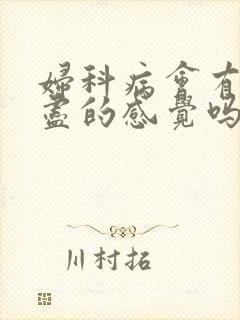 妇科病会有尿不尽的感觉吗