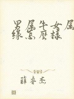 男属牛女属马姻缘怎么样