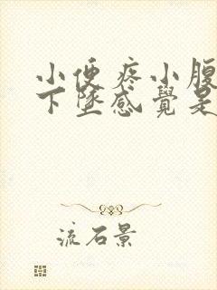 小便疼小腹有点下坠感觉是什么原因