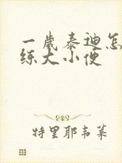 一岁泰迪怎么训练大小便