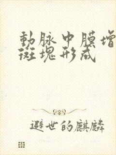 动脉中膜增厚伴斑块形成