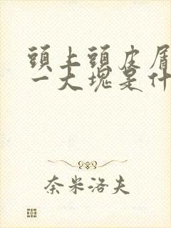 头上头皮屑一抠一大块是什么原因