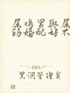 属鸡男与属蛇女的婚配好不好