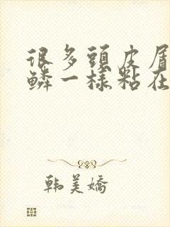 很多头皮屑像鱼鳞一样粘在头皮上