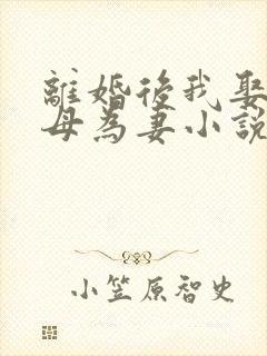 离婚后我娶了岳母为妻小说