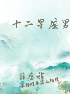 十二星座男性格