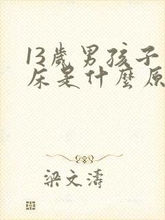 13岁男孩子尿床是什么原因