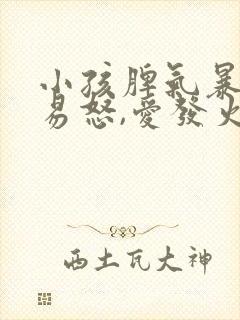 小孩脾气暴躁,易怒,爱发火