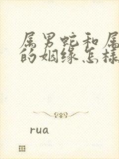 属男蛇和属女马的姻缘怎样