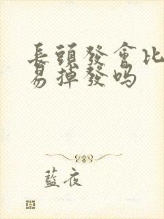 长头发会比较容易掉发吗