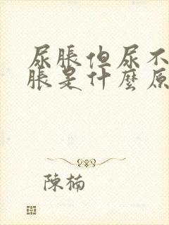 尿胀但尿不多发胀是什么原因