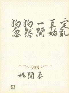 狗狗一直定点,忽然开始乱尿乱拉