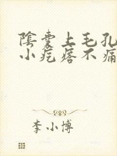 阴囊上毛孔处有小疙瘩不痛不痒