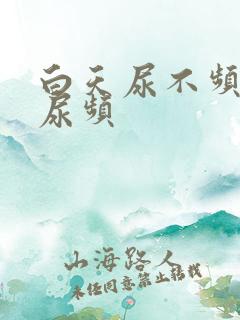 白天尿不频晚上尿频